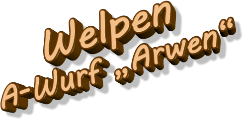 Welpen A-Wurf Arwen